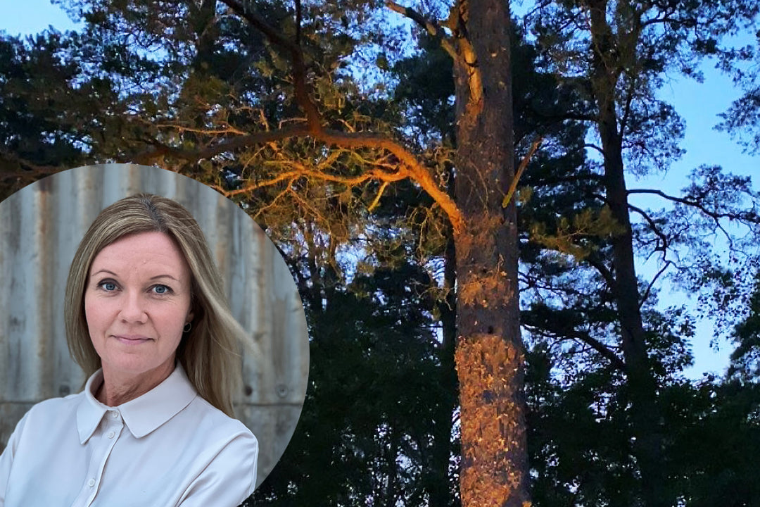 Skapa en stämningsfull trädgård med belysning. Så börjar du.