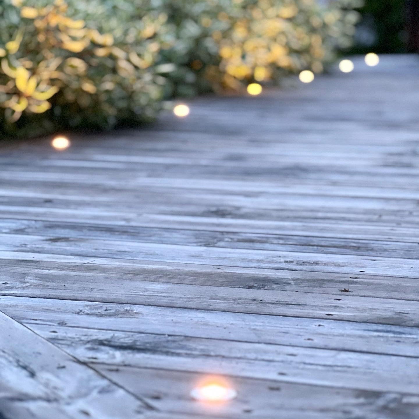 DEXTER x 5 decklights (silver)
