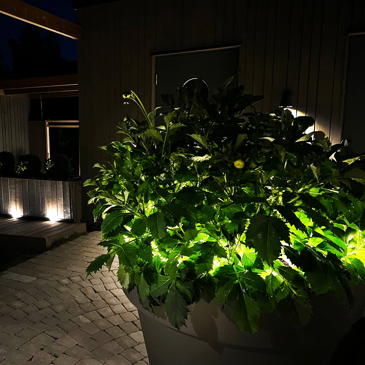 STRIP led strip (2,5m)