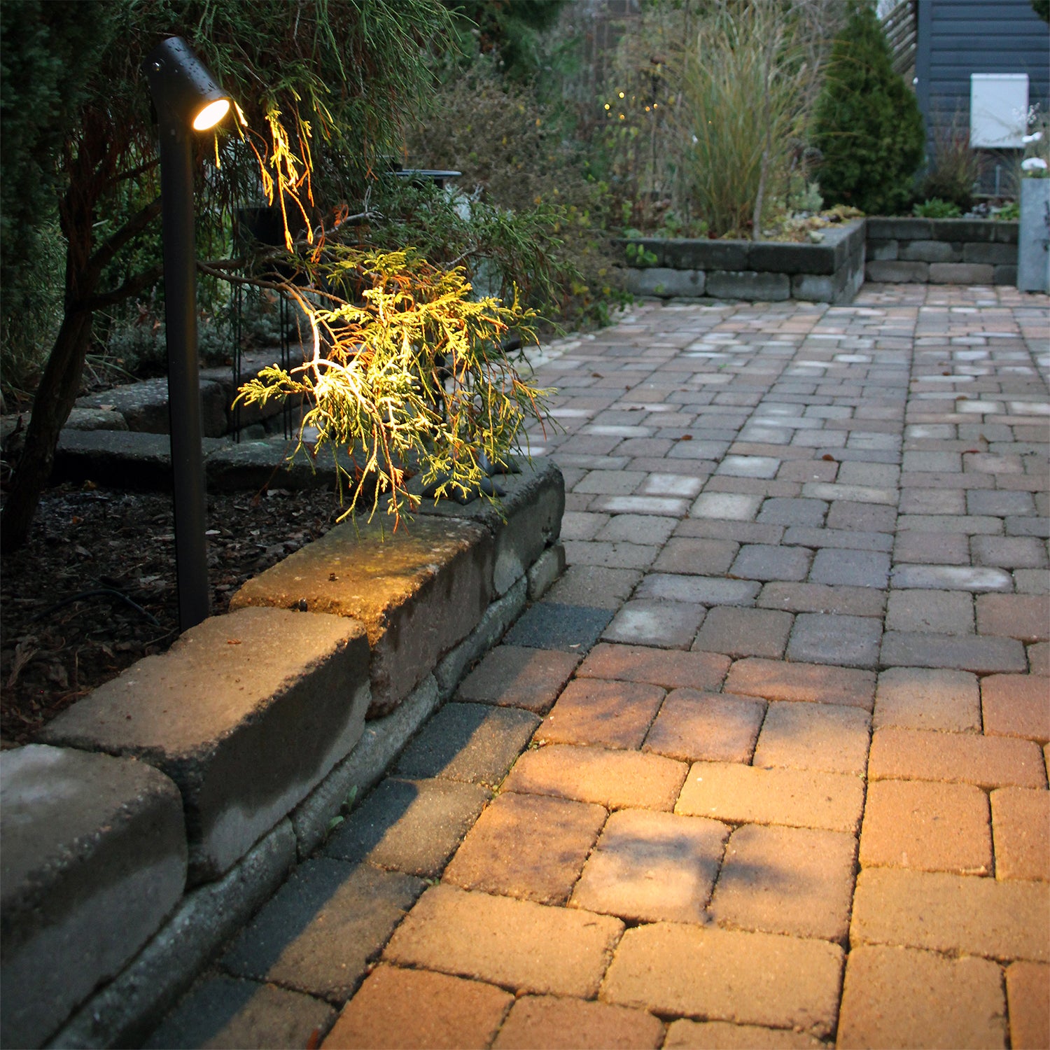 luna65 grey lightson environ aisle