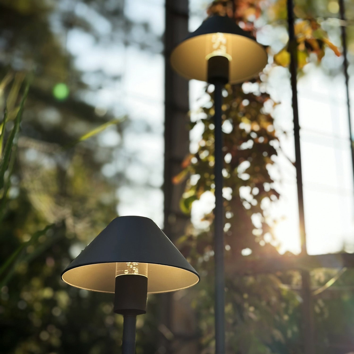 apolloflex lightson two sunset