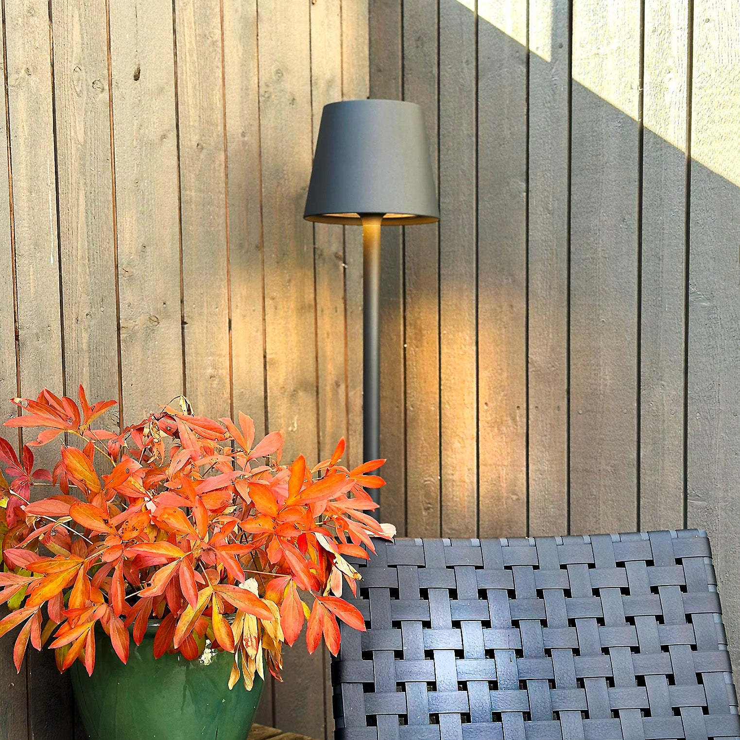 Sofy lightson environ corner redplant