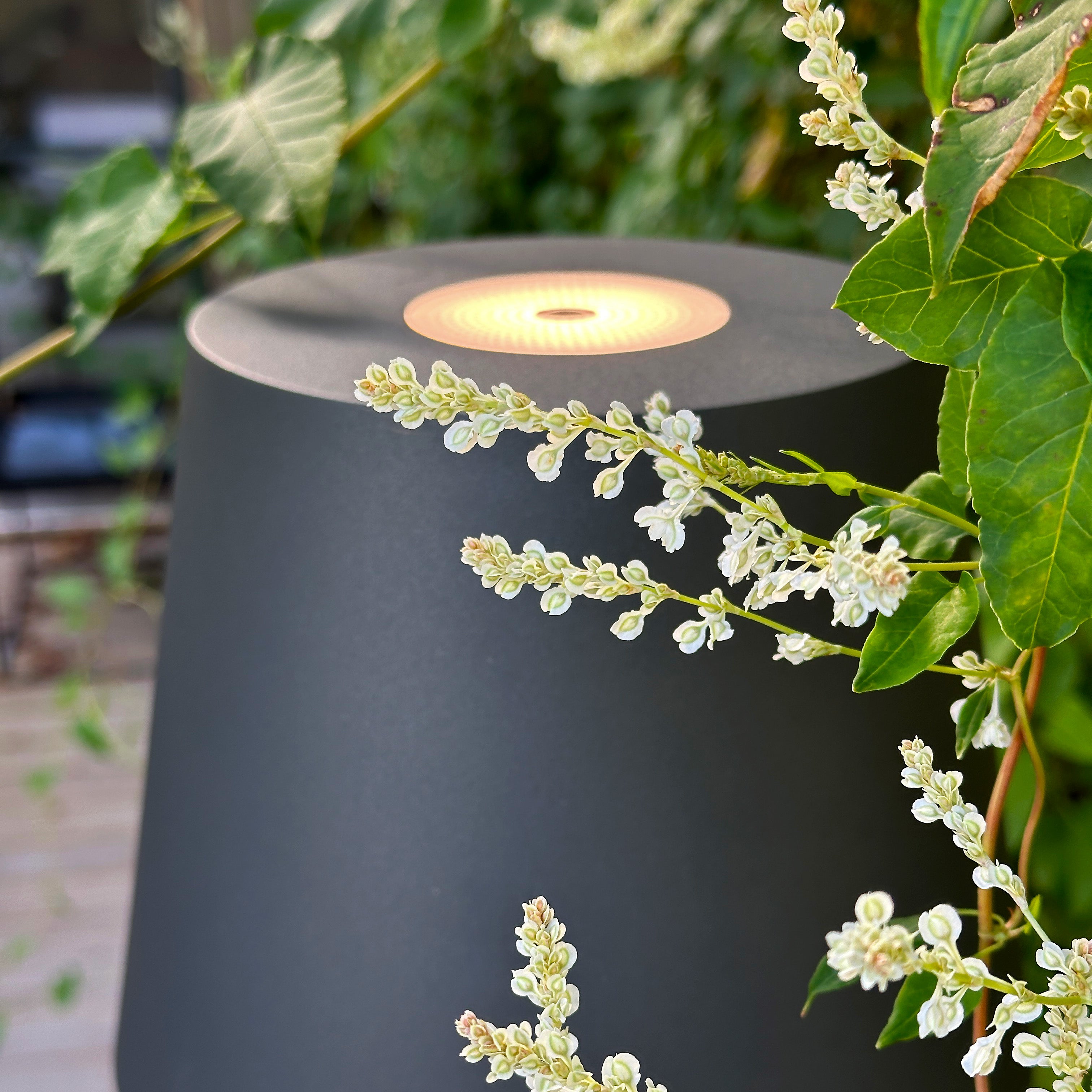 Sofy lightson environ dimmer