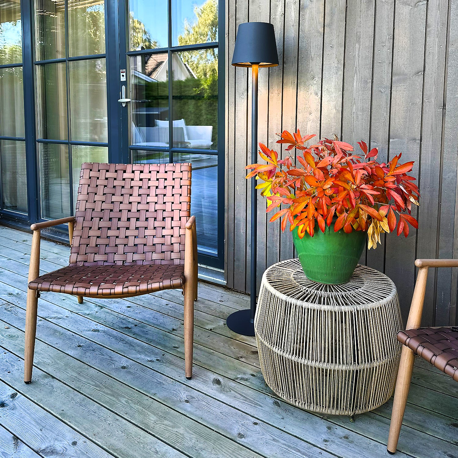Sofy lightson environ leatherchairs
