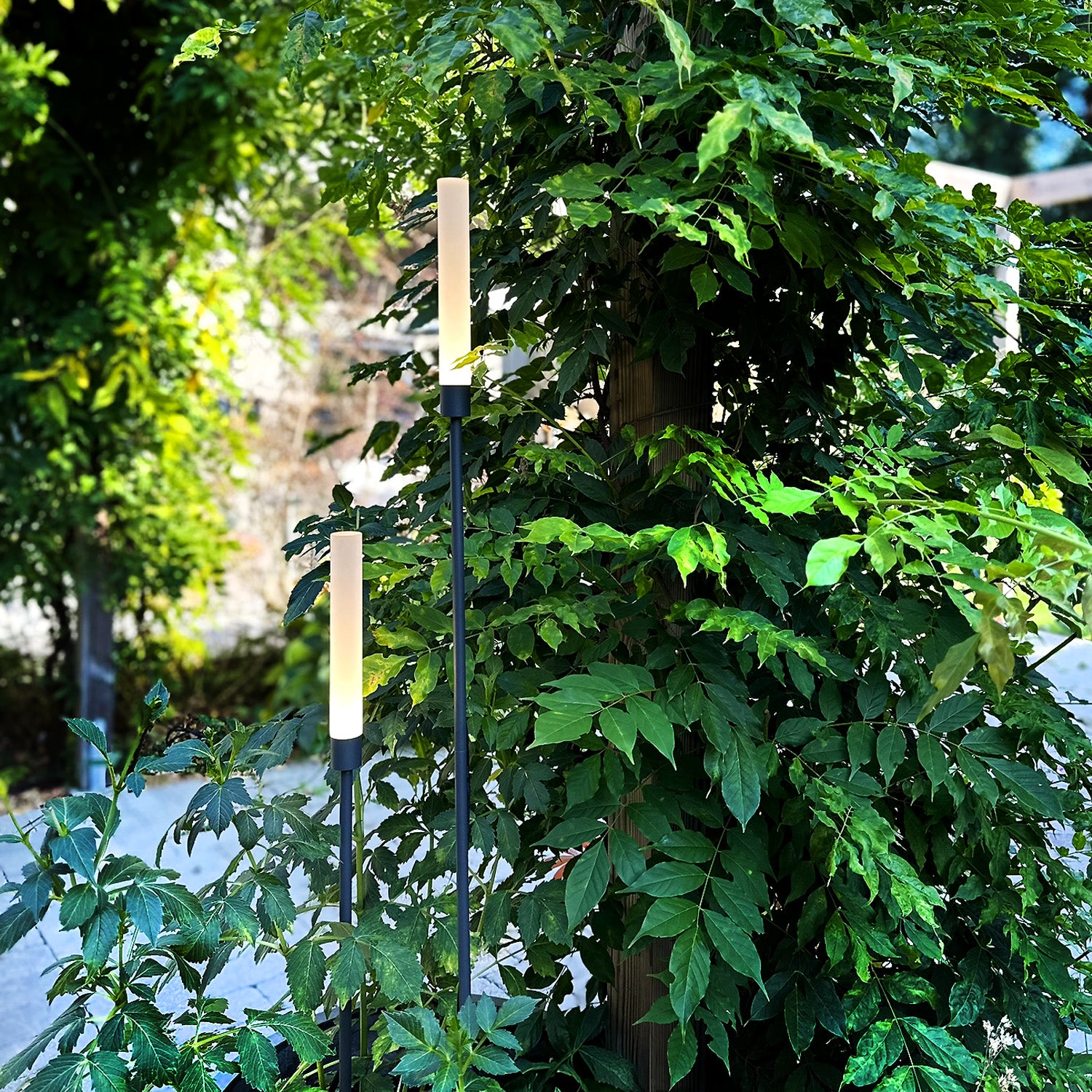 frost lightson greenary pot