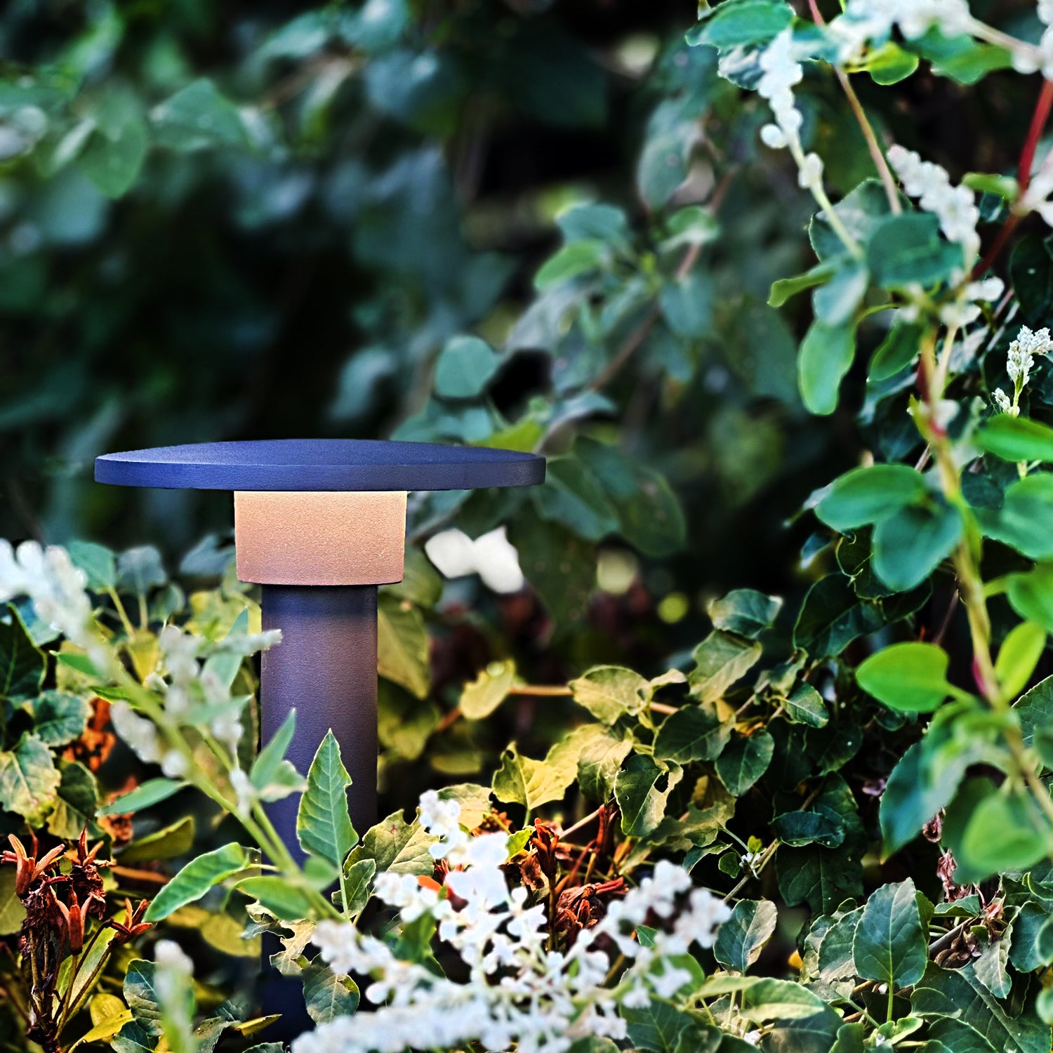 orbit lightson closeup ingreenary