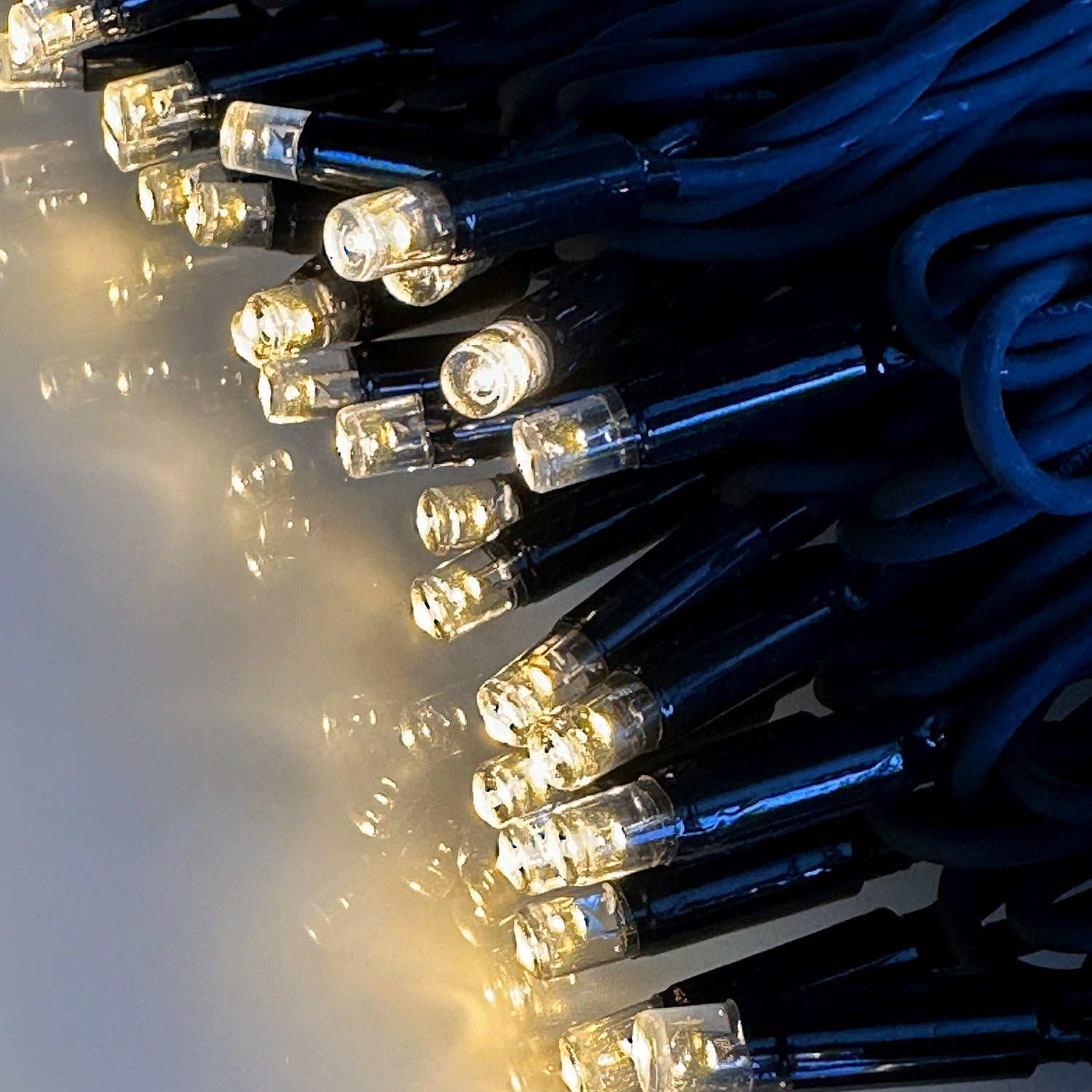 TwinkyPro lightson closeup lit