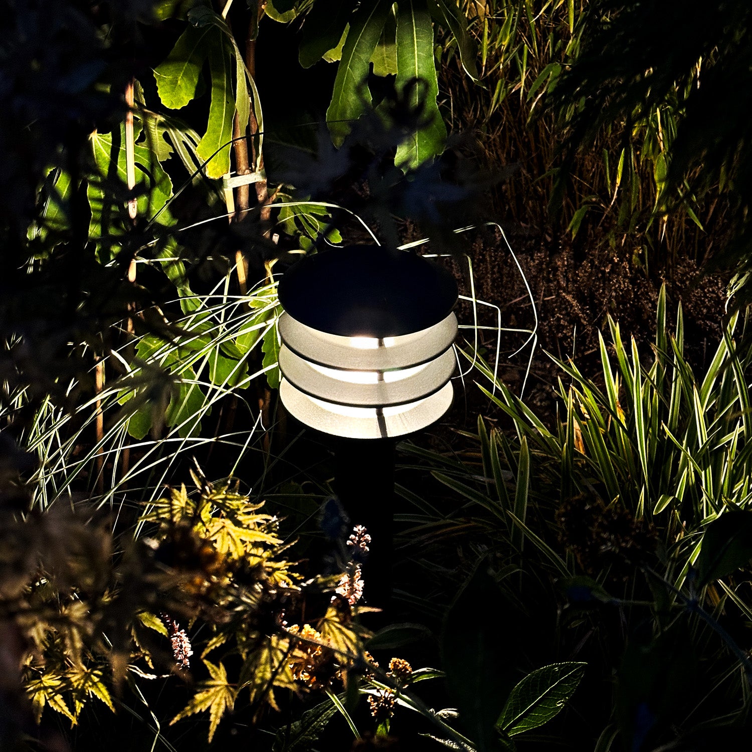 Jupiter LightsOn middle dark
