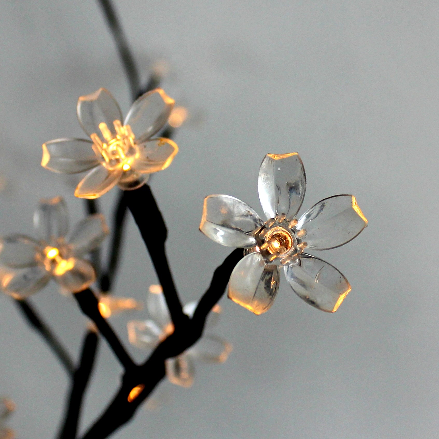 BLOOM tilbehør