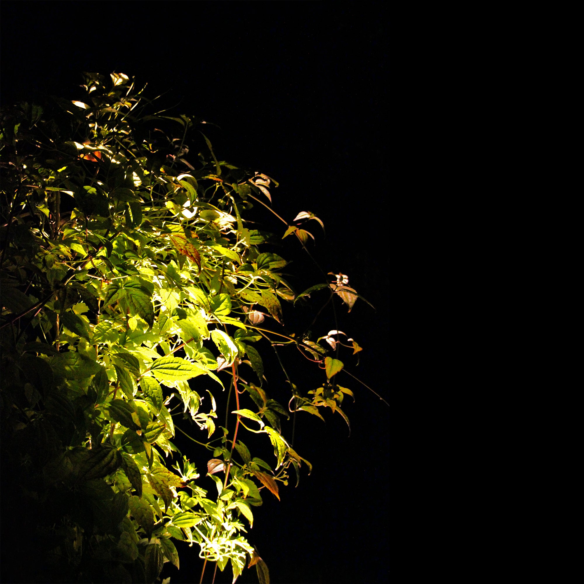 LUMINIUS havespot med spyd (sort)