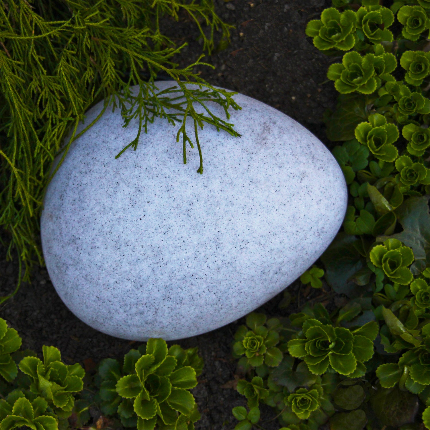 STONE