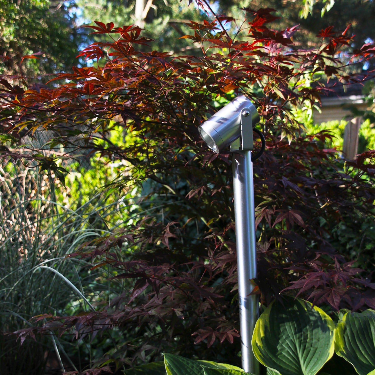 LUNA65 pollare