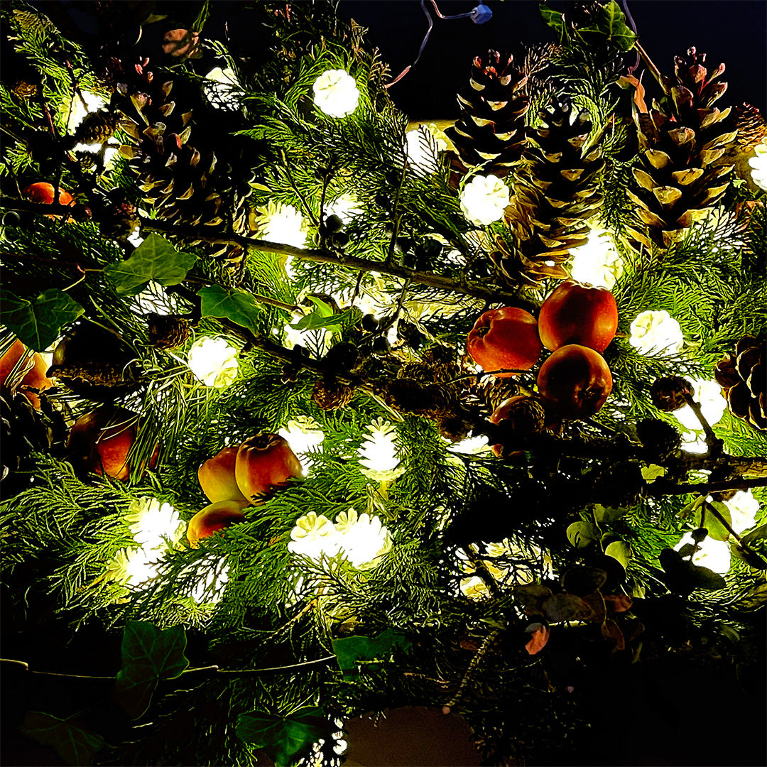 PINE lyskæde