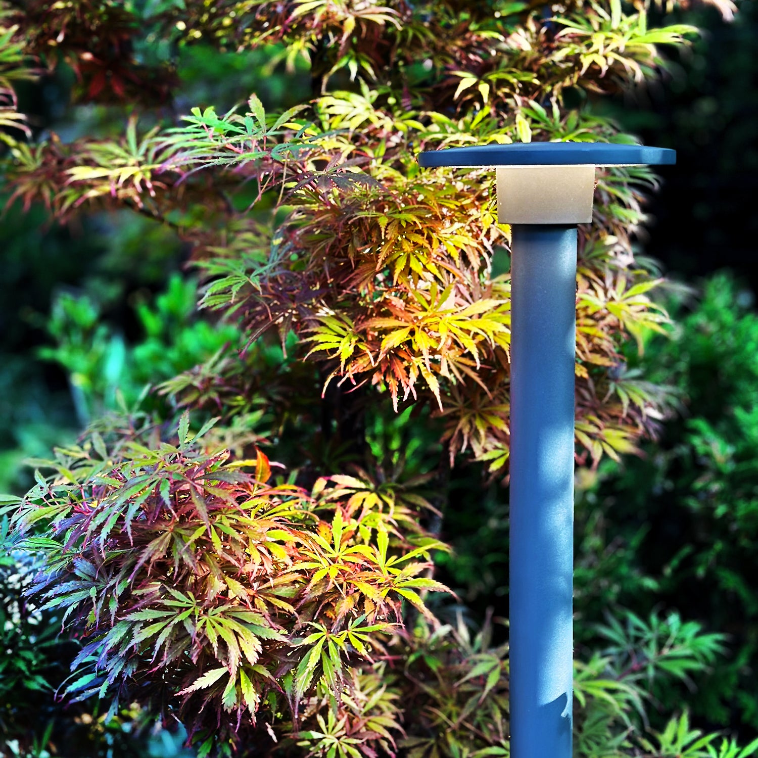 orbit65 lightson acer