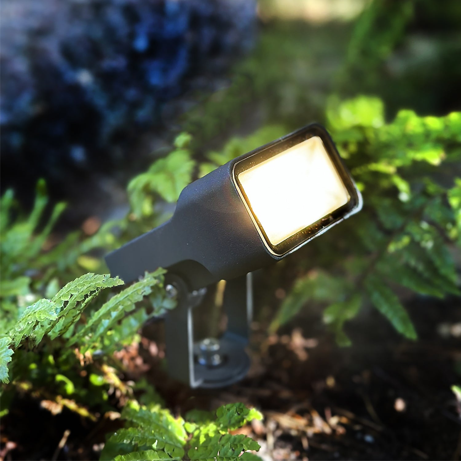 Stella lightson closeup greenary fern