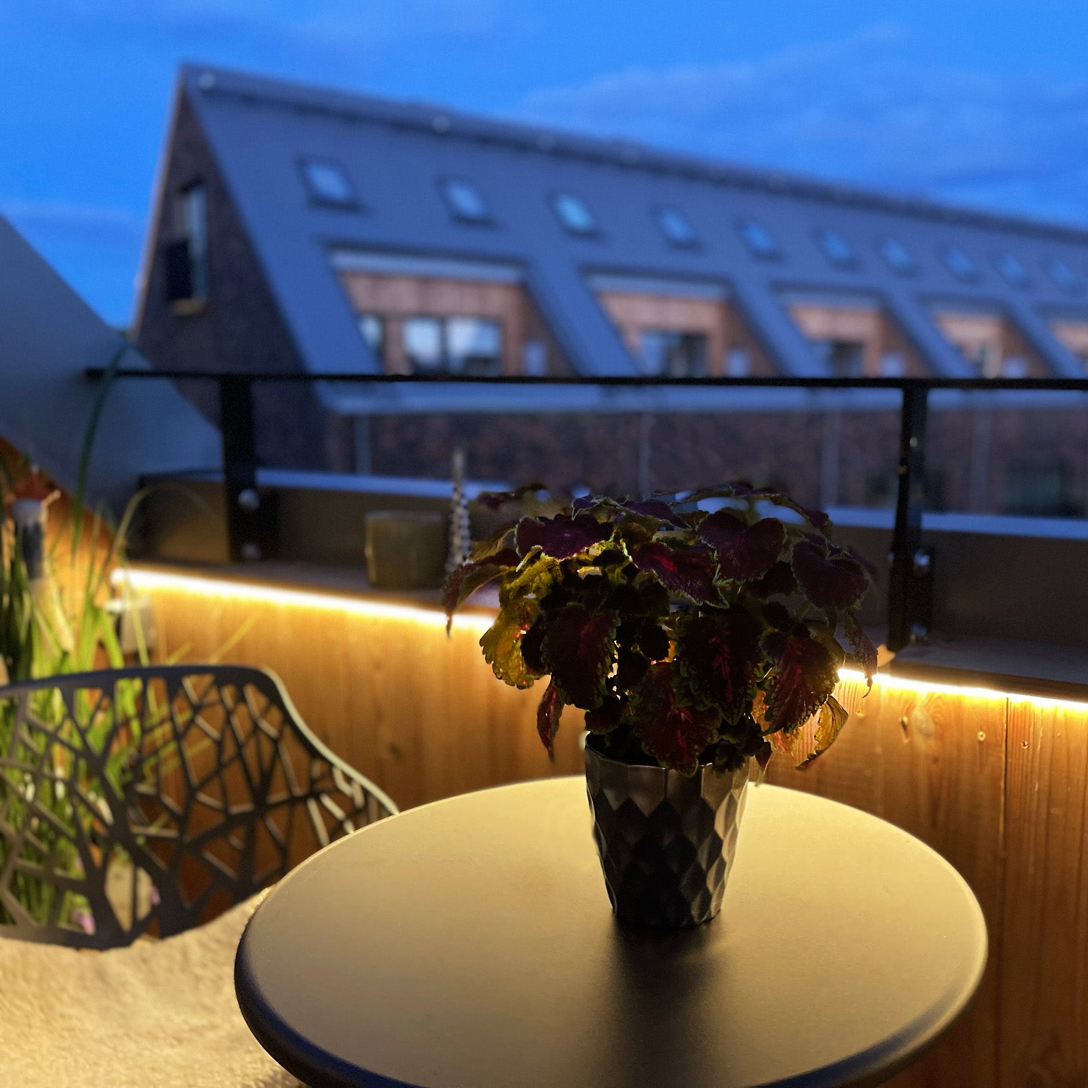 STRIP led strip (5m)