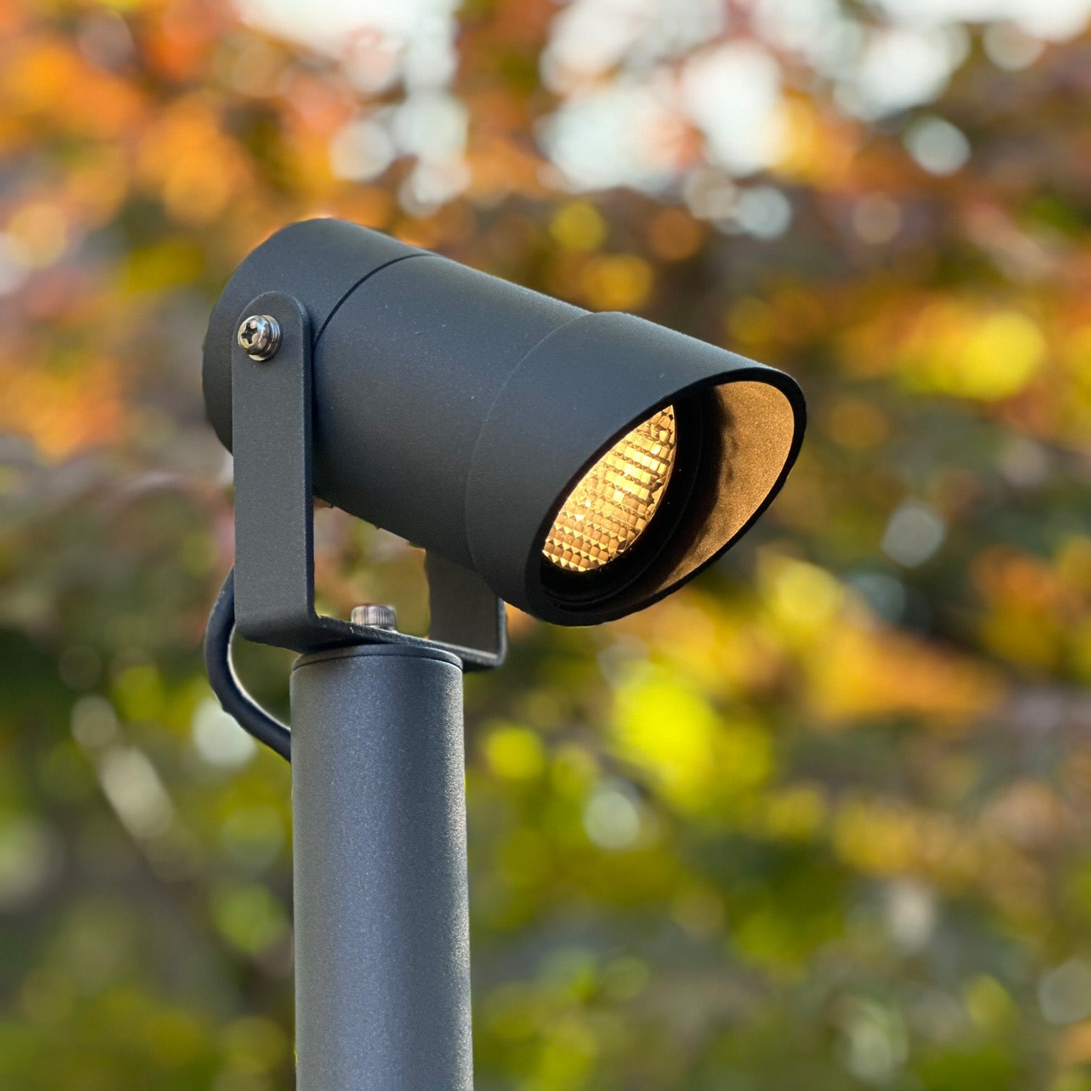 Luna65 grey lightson closeup