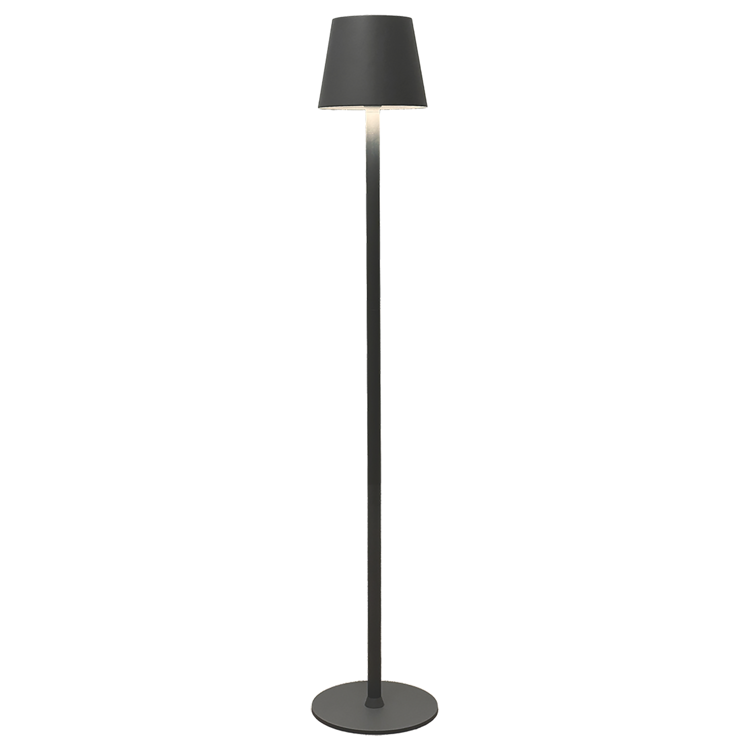 sofy lightson product