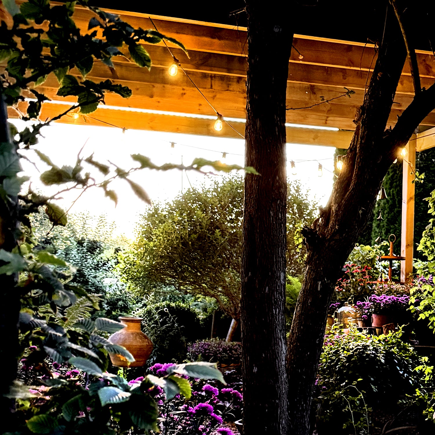 Cosy lightson pergola partylights