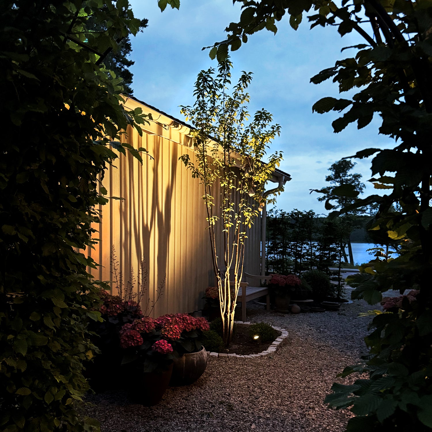 lunagrey lightson tree wall