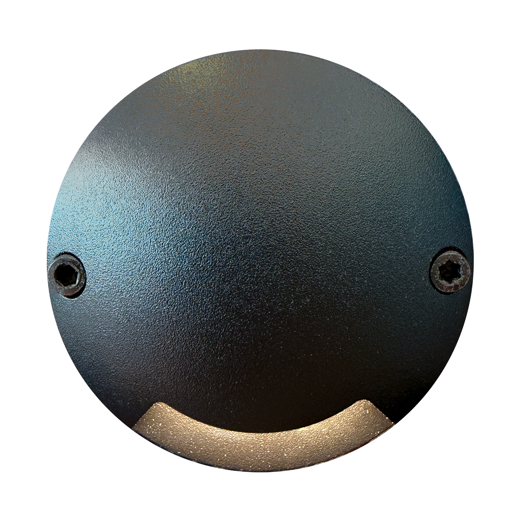ZENIT (sort)