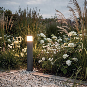 polly lightson gravel one summerflowers