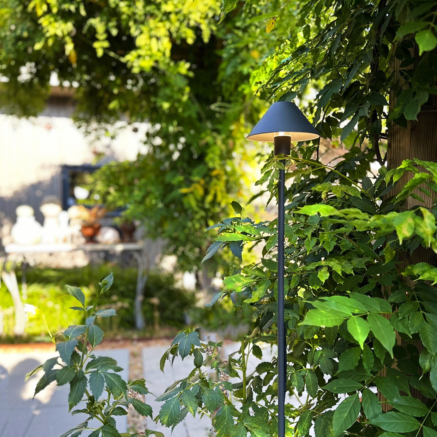apolloflex lightson one greenary
