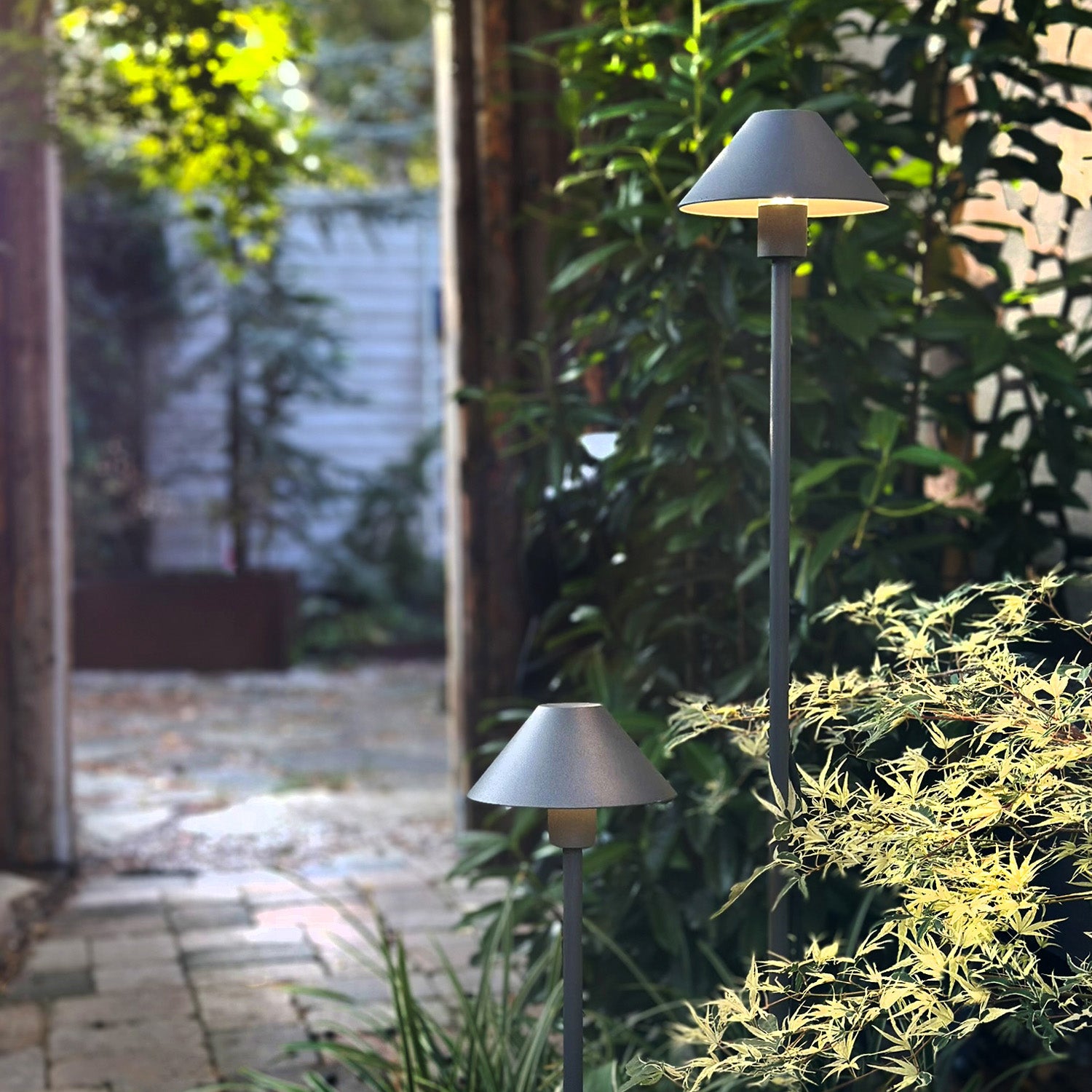 Apolloflex lightson two path light acer