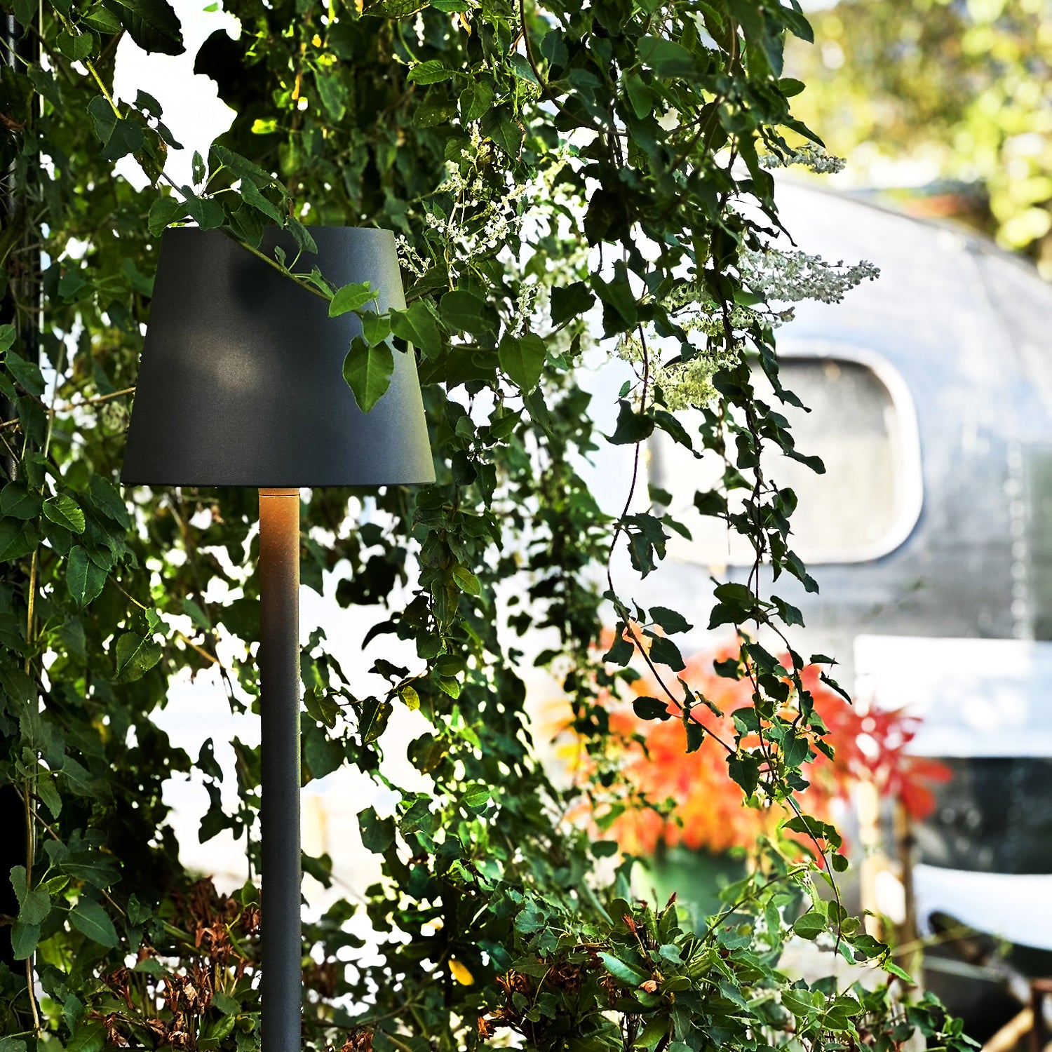 Sofy lightson environ trailer autumn