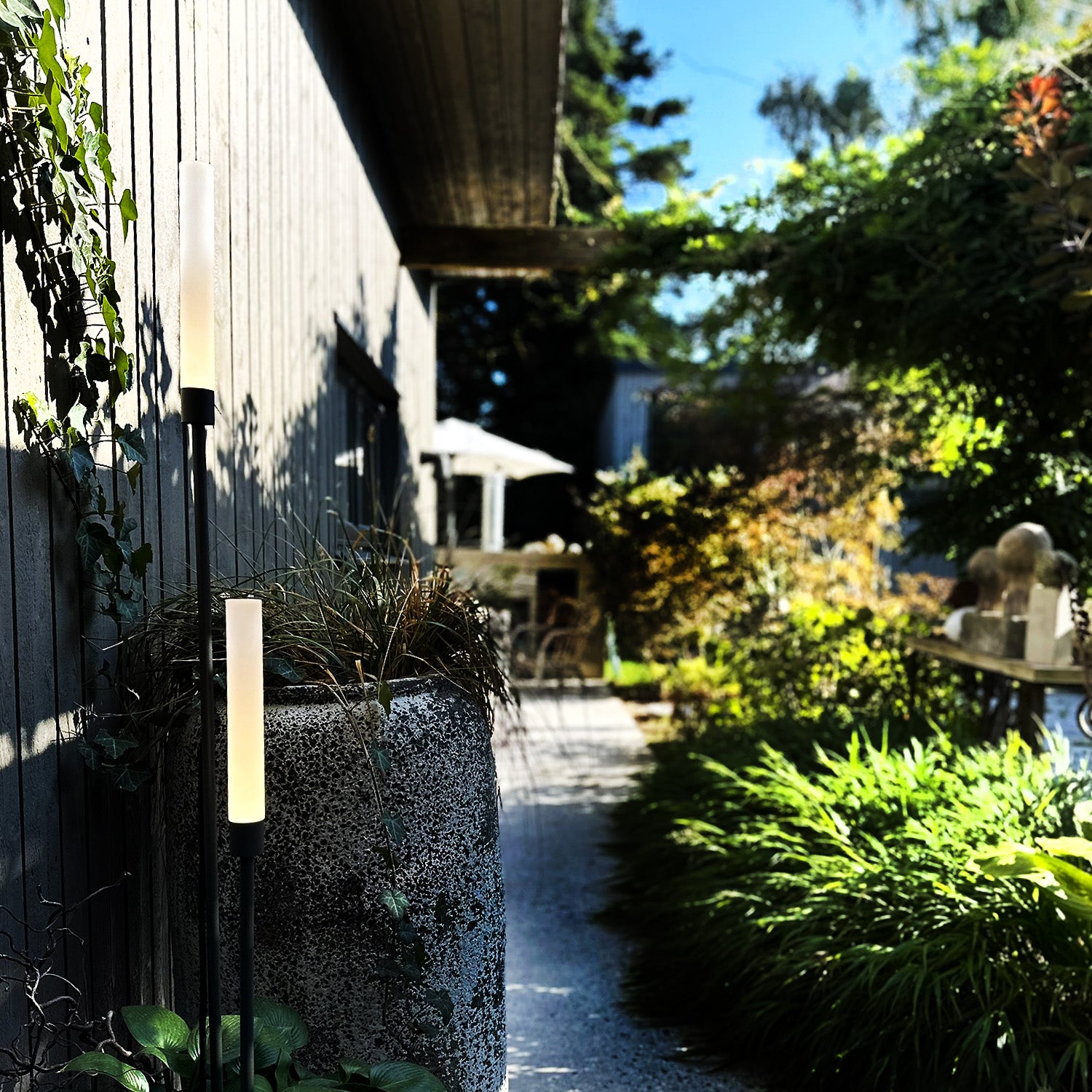 frost lightson entry pot