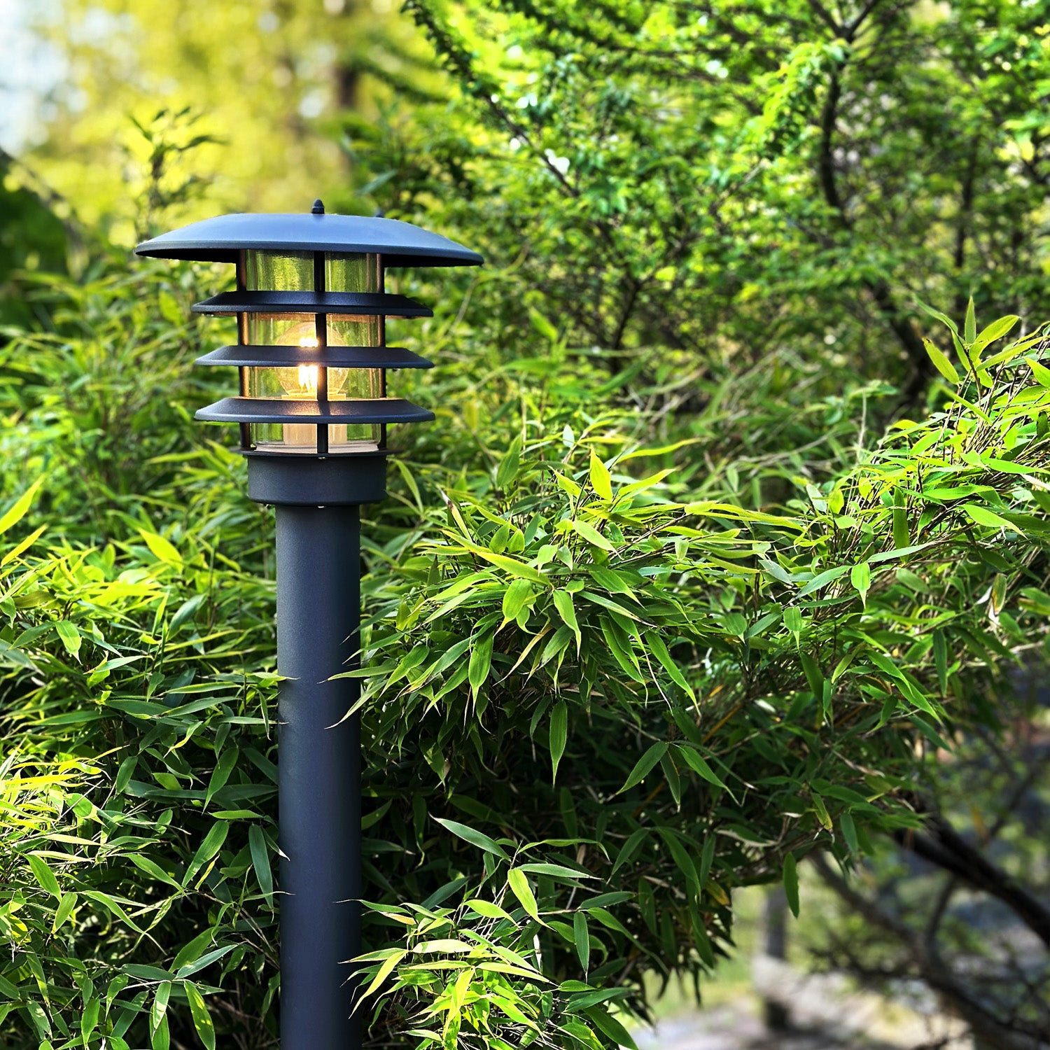 Saturnus grey lightson environ bamboo