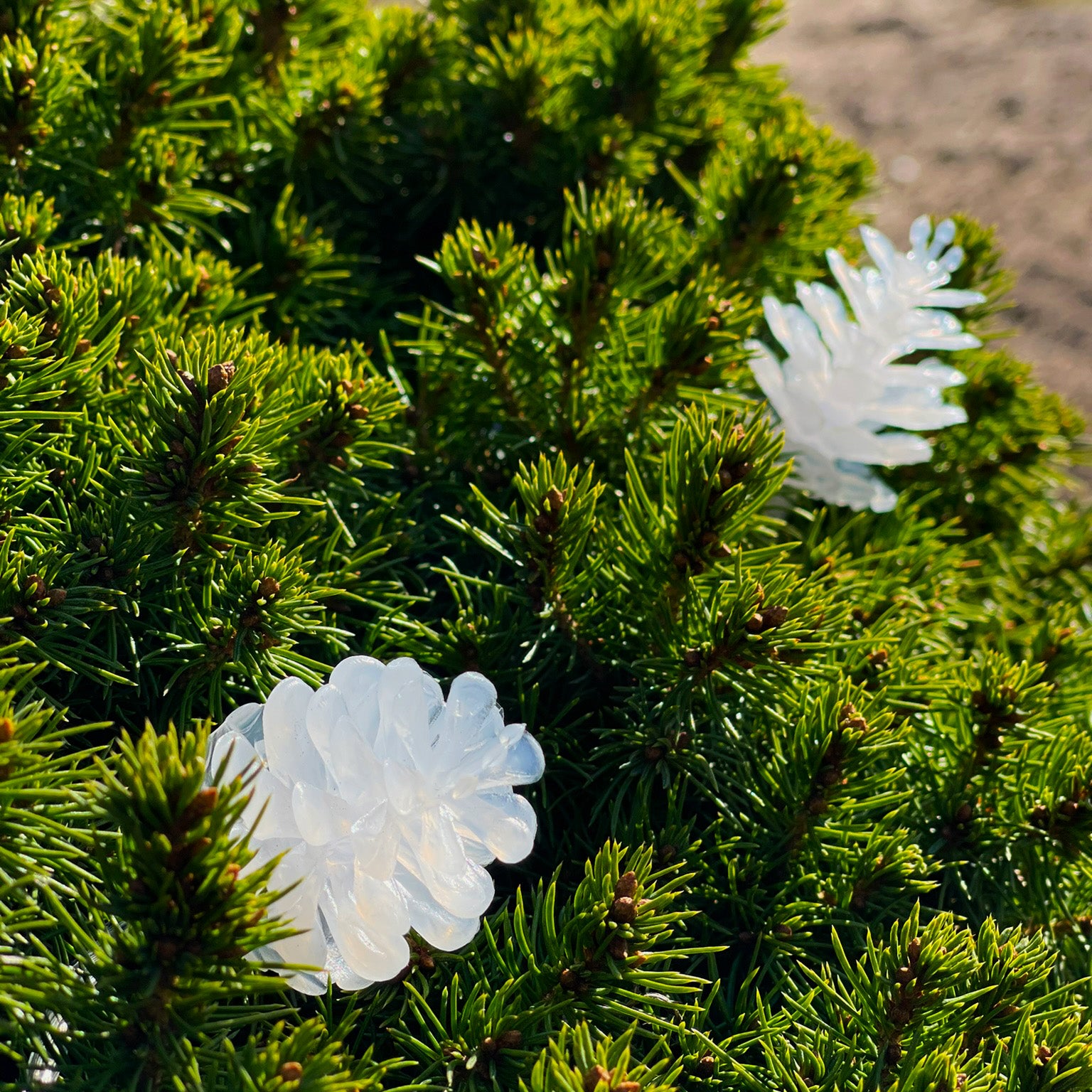 PINE lyskæde